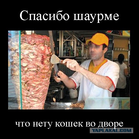 Просто вася шаверма. Шаурма от Ашота. Спасибо за внимание шаурма. Продавец шаурмы прикол. Фотожабы с шаурмой.