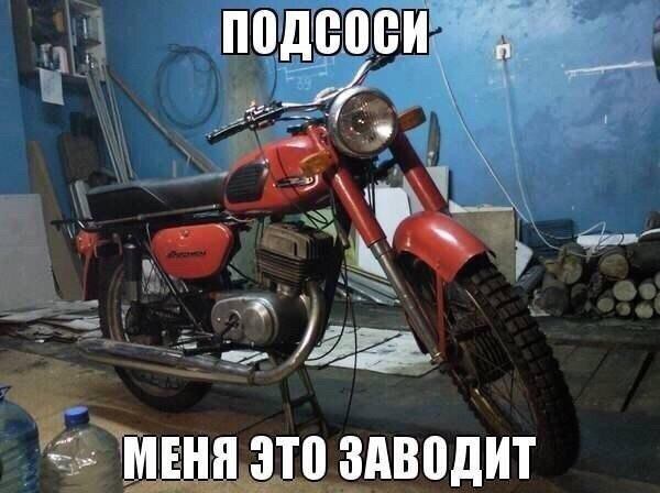 Порция картинок