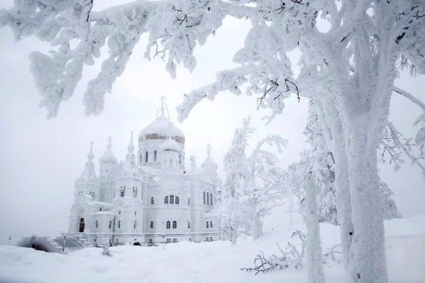 Моменты, запечатлённые на фото и просто позитив 5
