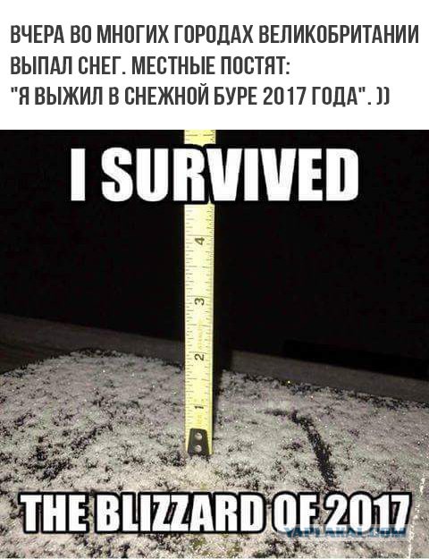 Снегу намело