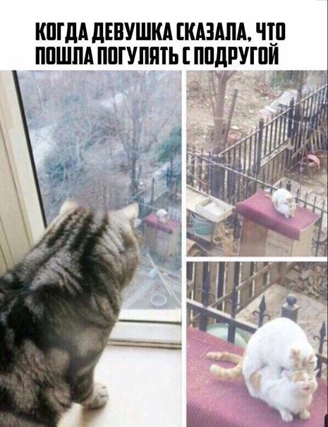 Не очень светлый и абсурдный юмор