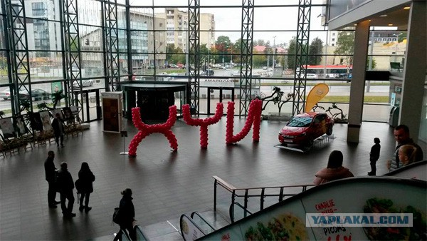 Несколько веселых картинок