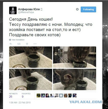 Советником Орешкина назначена чиновница, которая кормит кота черной икрой