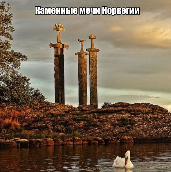 Подборка интересных и веселых картинок