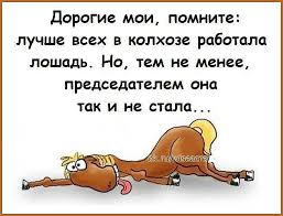 О собеседованиях начистоту