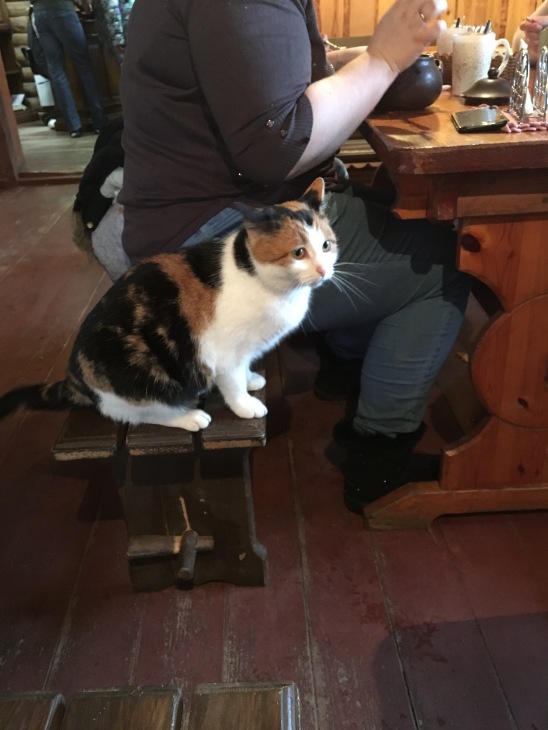 Январское путешествие в "Европу"