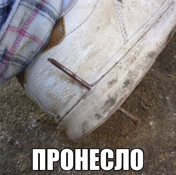 Лента прикольных картинок