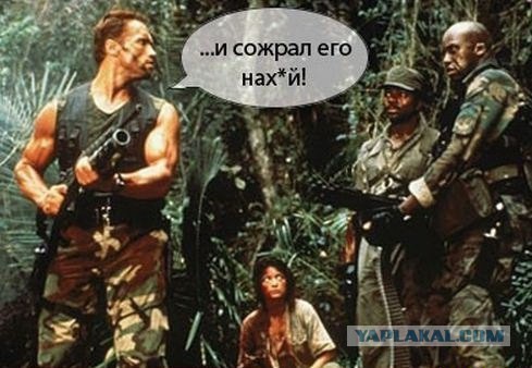 Богомол просто зверский хищник!
