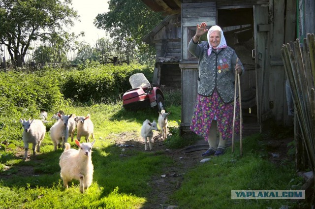Каникулы в деревне