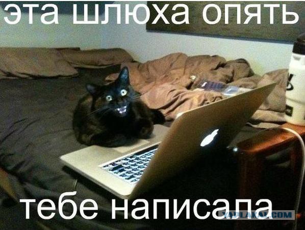 Если ты женат на б**ди!