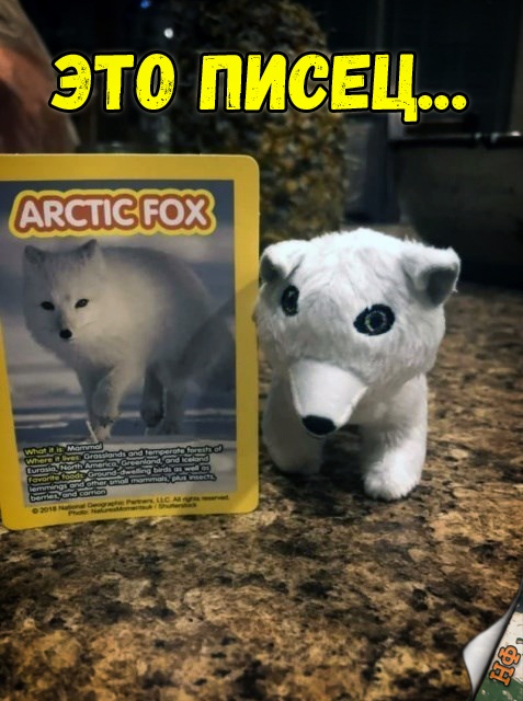 Прикольные картинки абавсём