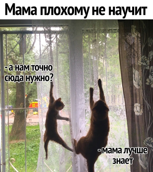 Немного картинок для настроения 18.01.20