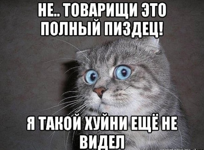  инцест семейный   Инцест - дело семейное - ЯПлакалъ