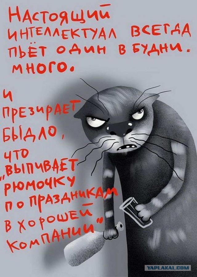 Алкоты пост!