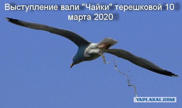 Прямо сейчас на Лубянке около здания ФСБ проходит акция против обнуления президентских сроков, полиция задерживает людей