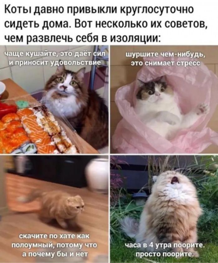 14281530.jpg