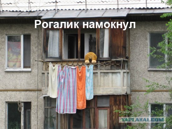 Конкурс: подпись к картинке