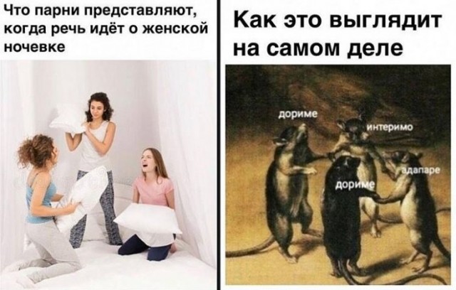 Порция идиотизма лениво на одну страницу