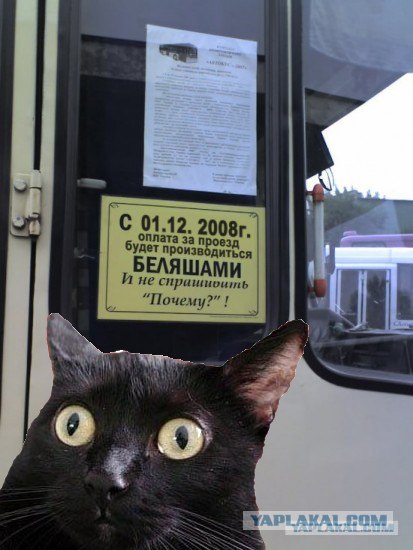 Не входить с беляшами!