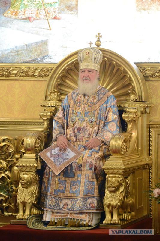 Укусила за член: в Ростовской области паренек жестоко избил знакомую во время минета