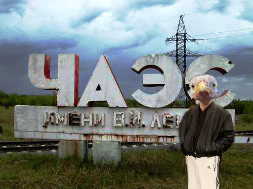 Фотожаба: Цыпа