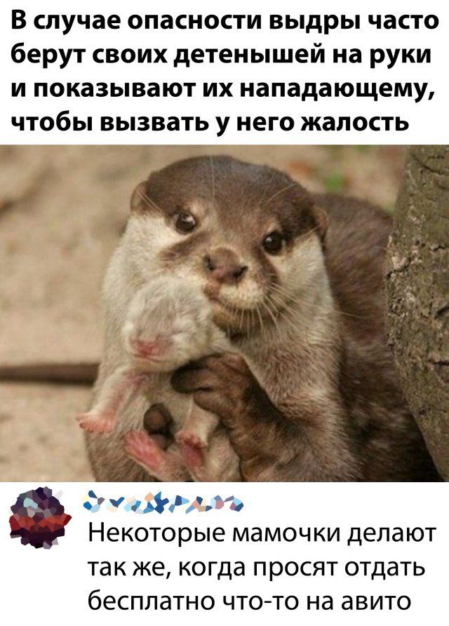 Немного картинок для настроения 05.11.20