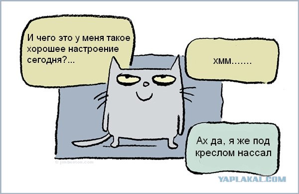 Главное - это точно установить причину