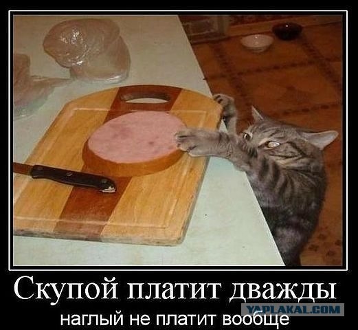 Кража века!