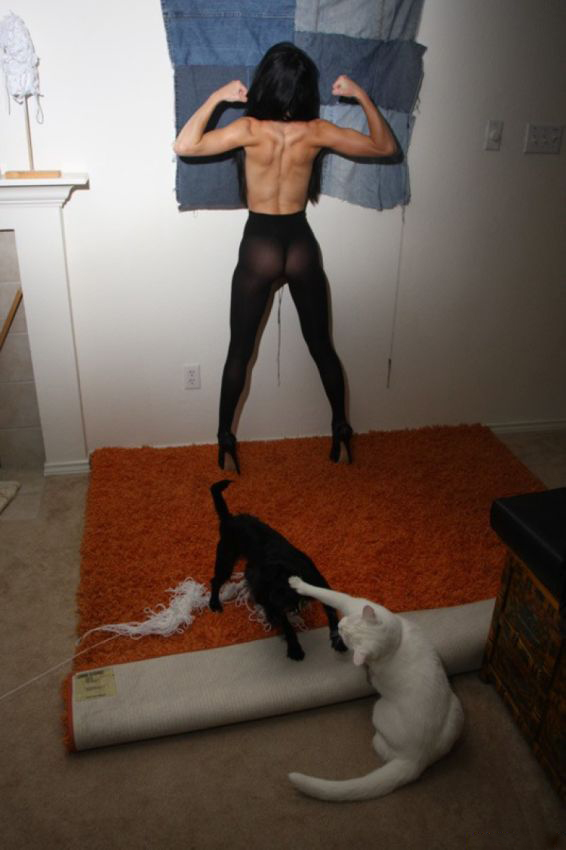 5 кошачьих лет в одном видео