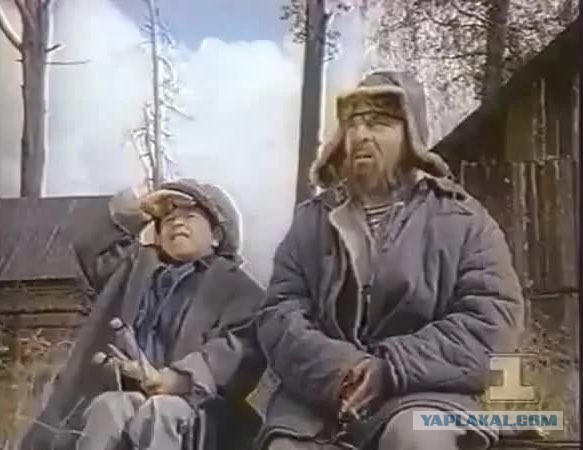 Говядина стала золотой по цене: спрос на говядину в России в 2020 году достиг минимума за 10 лет
