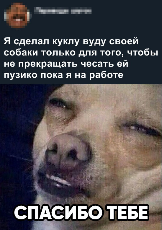 Весёлый полтишок 4.05