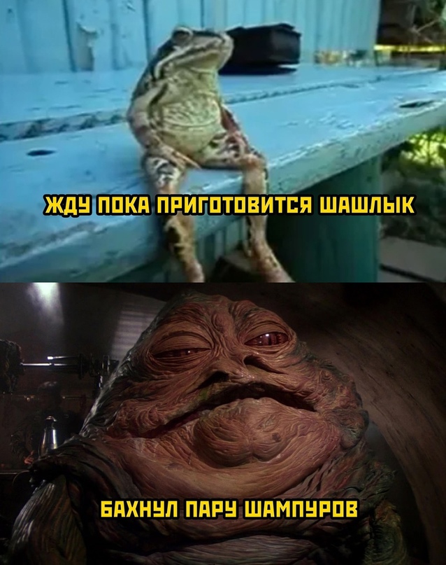 Весёлый полтишок 7.05