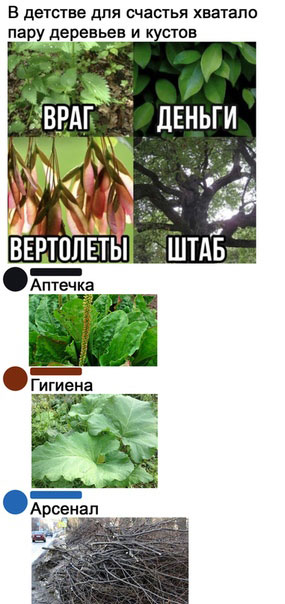 Так себе картинки 18.07.21