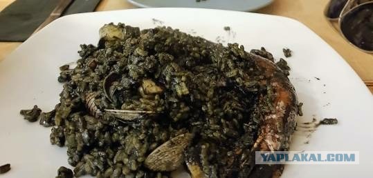 Какую самую вкусную еду вы ели в своей жизни?