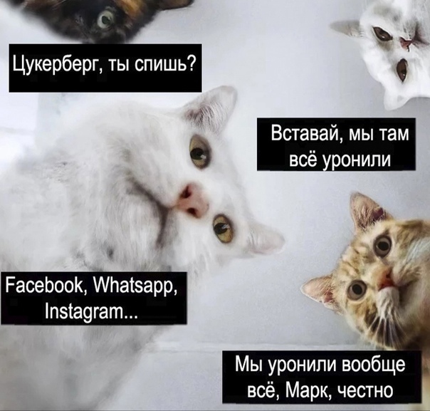 Как в инете стебутся над упавшими Facebook, Instagram и другими