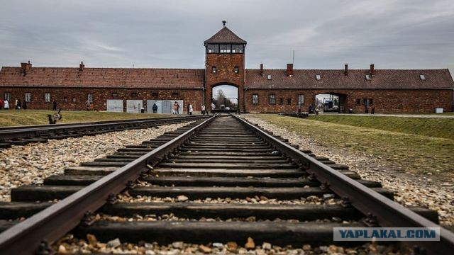 Опять про "туристов". Уже и кирпичи пошли в ход