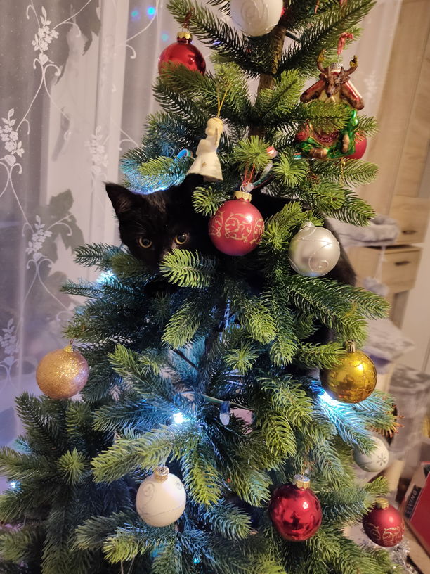 Держитесь, не сдавайтесь