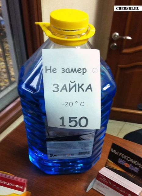 Весёлый полтишок 31.12