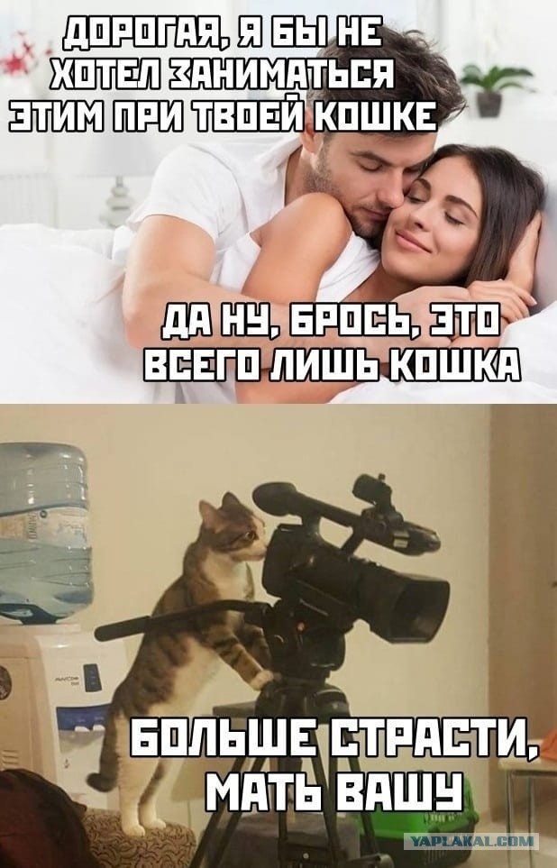 Картинки аморальные и всякие разные - 20