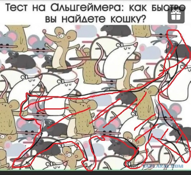 Альцгеймера вызывали?