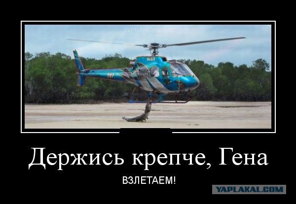 Так себе картинки 02.04.22