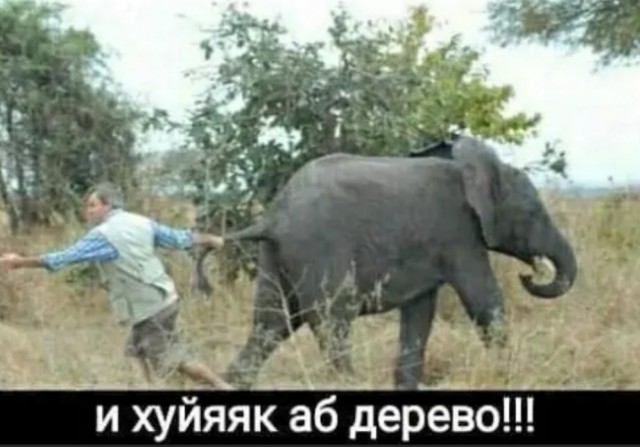 Так себе картинки 05.05.22