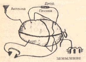 Есть ли этому научное подтверждение?