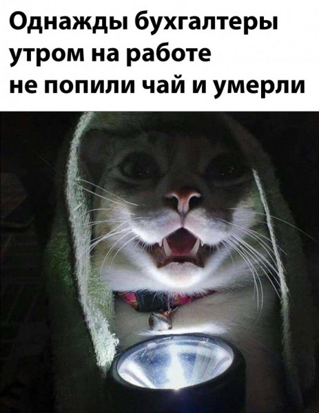 Юмор в картинках и без
