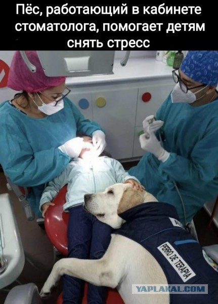 Подборка смешных картинок на ночь 31.10.22