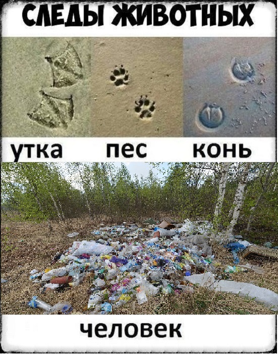 Картинки со смыслом