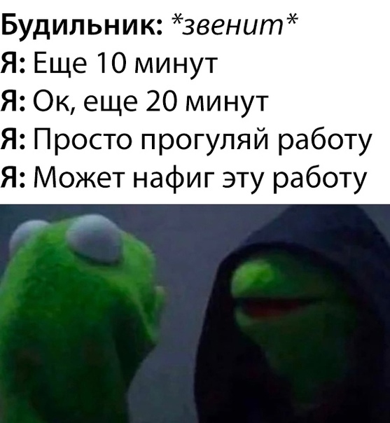 Весёлый полтишок 04.11.22