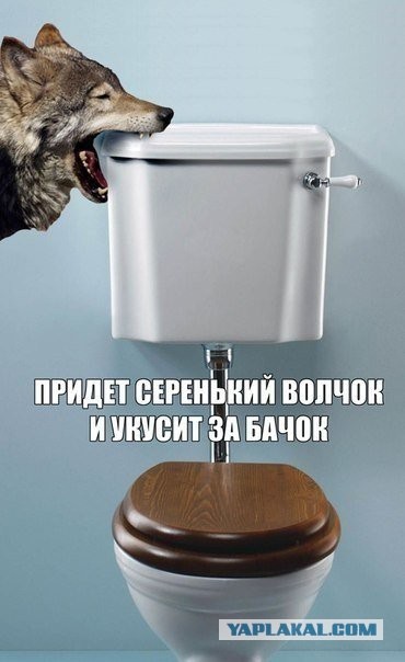 Как быть мужьям, чьи жены - "непьющие алкоголички"?⁠⁠