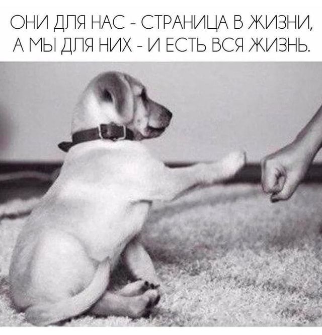 15 лет спустя