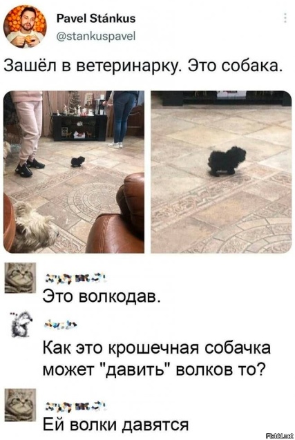 Пятничные картинки 19.01.2024
